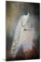 White Beauty-Jai Johnson-Mounted Premium Giclee Print