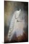 White Beauty-Jai Johnson-Mounted Giclee Print