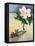 White Begonia and Rosehips-Christopher Ryland-Framed Stretched Canvas