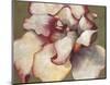 White Begonia-Maria Torróntegui-Mounted Giclee Print