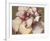 White Begonia-Maria Torróntegui-Framed Giclee Print