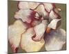 White Begonia-Maria Torróntegui-Mounted Giclee Print