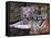 White Bengal Tigers-Lynn M^ Stone-Framed Stretched Canvas