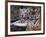 White Bengal Tigers-Lynn M^ Stone-Framed Photographic Print