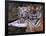 White Bengal Tigers-Lynn M^ Stone-Framed Photographic Print