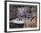 White Bengal Tigers-Lynn M^ Stone-Framed Photographic Print