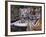 White Bengal Tigers-Lynn M^ Stone-Framed Photographic Print