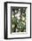 White berries of the white dogwood-Nadja Jacke-Framed Photographic Print