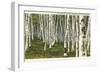 White Birch Forest, Wisconsin-null-Framed Art Print