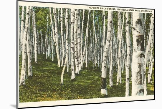 White Birch Forest, Wisconsin-null-Mounted Art Print