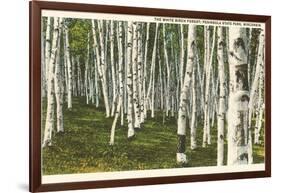 White Birch Forest, Wisconsin-null-Framed Art Print