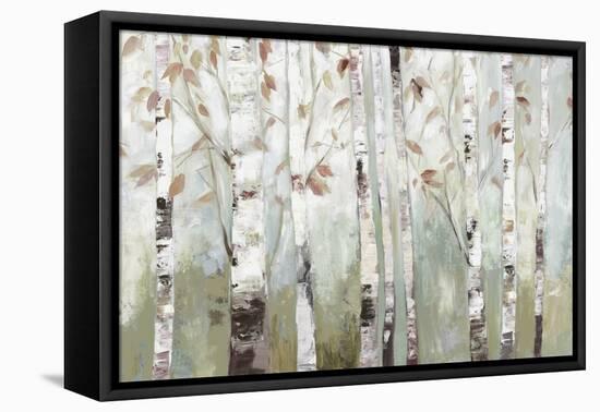 White Birch Forest-Allison Pearce-Framed Stretched Canvas