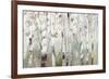 White Birch Forest-Allison Pearce-Framed Art Print