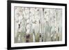 White Birch Forest-Allison Pearce-Framed Art Print