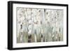 White Birch Forest-Allison Pearce-Framed Premium Giclee Print