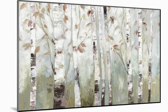 White Birch Forest-Allison Pearce-Mounted Art Print