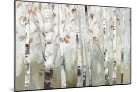 White Birch Forest-Allison Pearce-Mounted Art Print