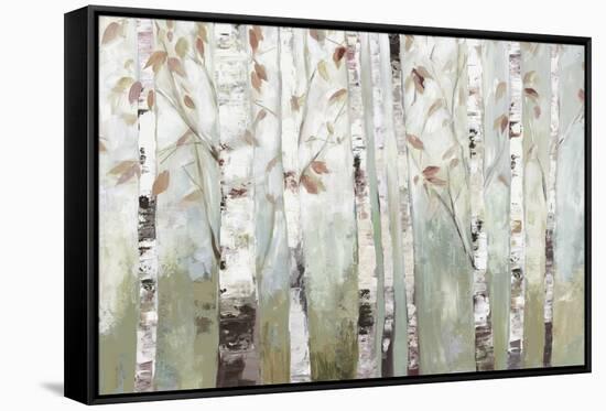 White Birch Forest-Allison Pearce-Framed Stretched Canvas