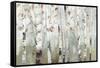 White Birch Forest-Allison Pearce-Framed Stretched Canvas