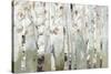 White Birch Forest-Allison Pearce-Stretched Canvas