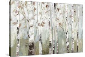 White Birch Forest-Allison Pearce-Stretched Canvas