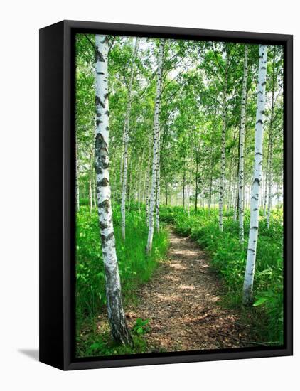 White Birch Lane-null-Framed Stretched Canvas