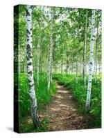 White Birch Lane-null-Stretched Canvas