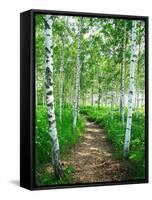 White Birch Lane-null-Framed Stretched Canvas