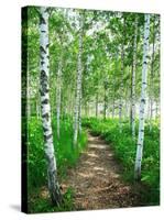 White Birch Lane-null-Stretched Canvas