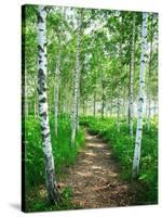 White Birch Lane-null-Stretched Canvas