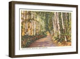 White Birches, New Hampshire-null-Framed Art Print