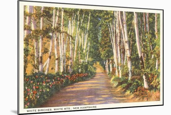 White Birches, New Hampshire-null-Mounted Art Print
