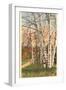 White Birches of Northern Michigan-null-Framed Art Print