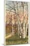 White Birches of Northern Michigan-null-Mounted Art Print