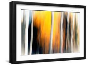 White Birches-Ursula Abresch-Framed Photographic Print