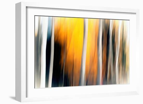 White Birches-Ursula Abresch-Framed Photographic Print