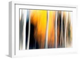 White Birches-Ursula Abresch-Framed Photographic Print