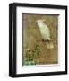 White Bird-William Hunter-Framed Art Print