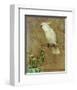 White Bird-William Hunter-Framed Art Print