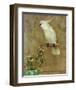 White Bird-William Hunter-Framed Art Print