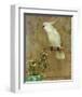 White Bird-William Hunter-Framed Art Print