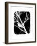 White Bird-Ricki Mountain-Framed Art Print