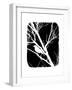 White Bird-Ricki Mountain-Framed Art Print