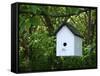 White Birdhouse-Anna Miller-Framed Stretched Canvas