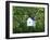 White Birdhouse-Anna Miller-Framed Photographic Print