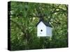 White Birdhouse-Anna Miller-Stretched Canvas