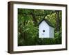 White Birdhouse-Anna Miller-Framed Photographic Print