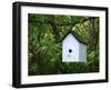 White Birdhouse-Anna Miller-Framed Photographic Print