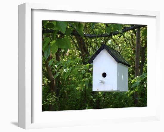 White Birdhouse-Anna Miller-Framed Photographic Print