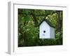 White Birdhouse-Anna Miller-Framed Photographic Print